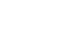 ChainVest logo